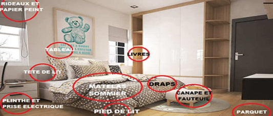 Comment se débarrasser des punaises de lit ?