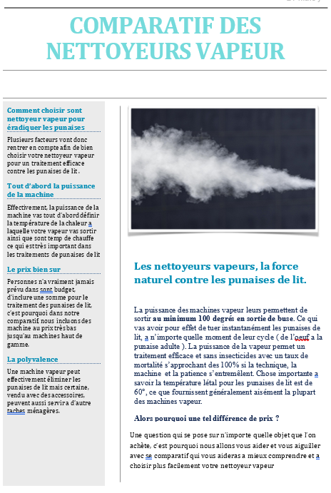 Comparatif des Nettoyeurs Vapeur anti Punaise de lit