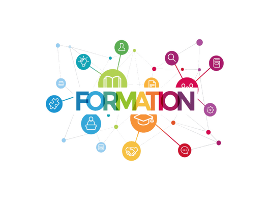 Formation de 1h : ''Comment se débarrasser des punaises de lit ?''