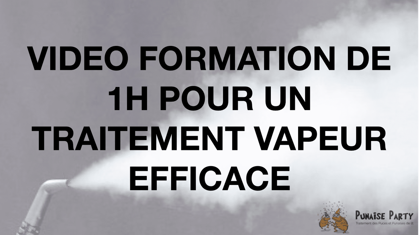 Formation de 1h : ''Comment se débarrasser des punaises de lit ?''