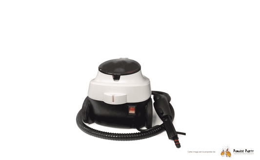 Pack Formation + Piège + Nettoyeur Vapeur Punaise de lit - Vapor'Max